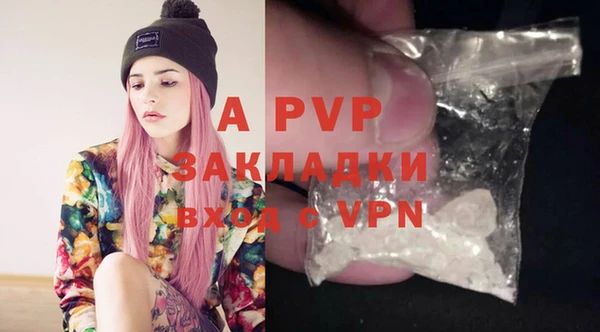 шишки Арсеньев
