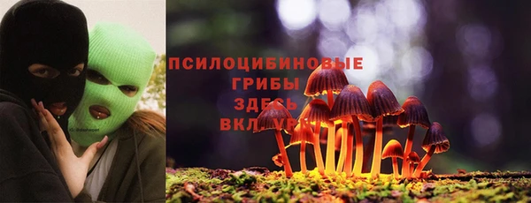 ешки Аркадак