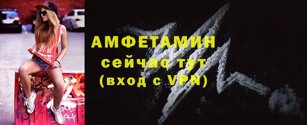 шишки Арсеньев