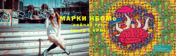 шишки Арсеньев
