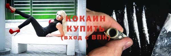 шишки Арсеньев