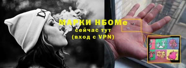 ешки Аркадак