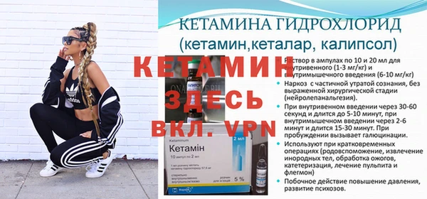 ешки Аркадак