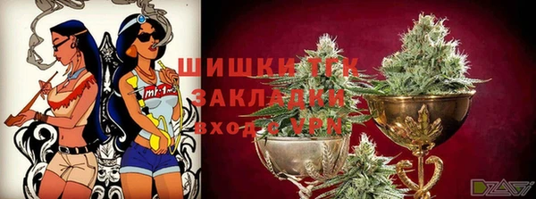 шишки Арсеньев