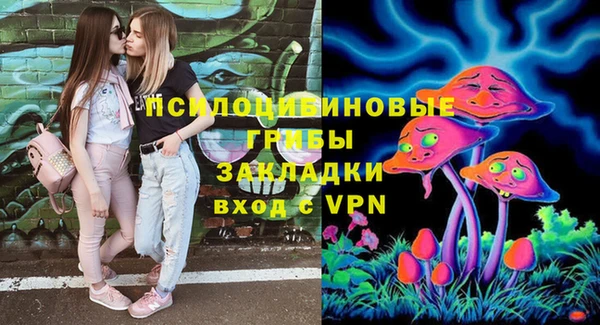 шишки Арсеньев