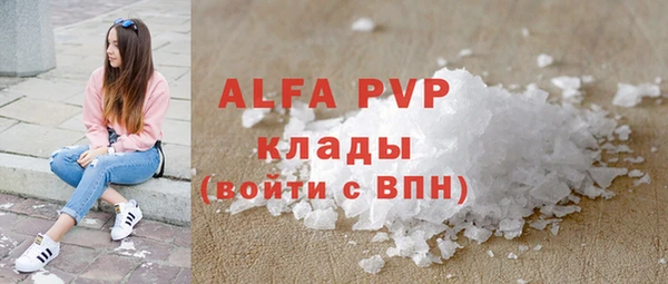 шишки Арсеньев