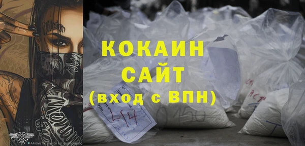 шишки Арсеньев