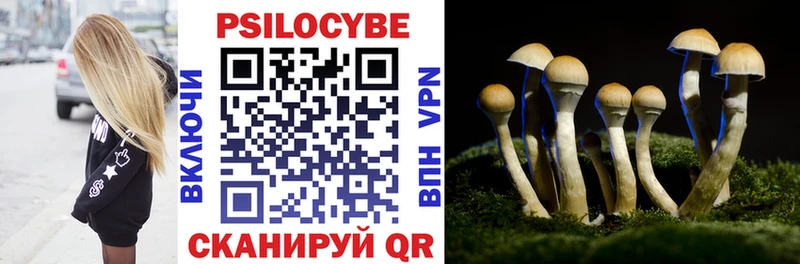 сайты даркнета телеграм  Гай  Псилоцибиновые грибы Magic Shrooms 